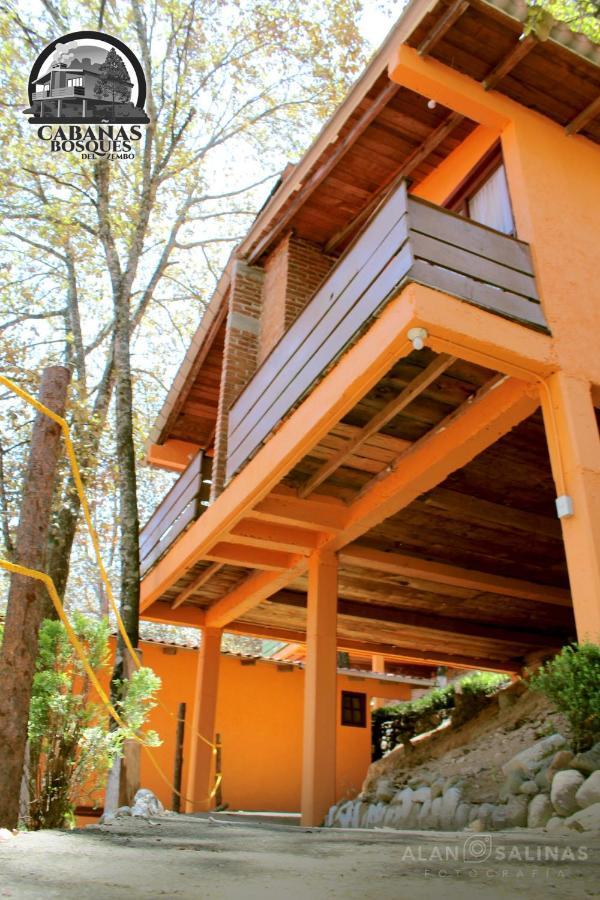 Cabanas Los Bosques Del Zembo Huasca de Ocampo Exterior foto