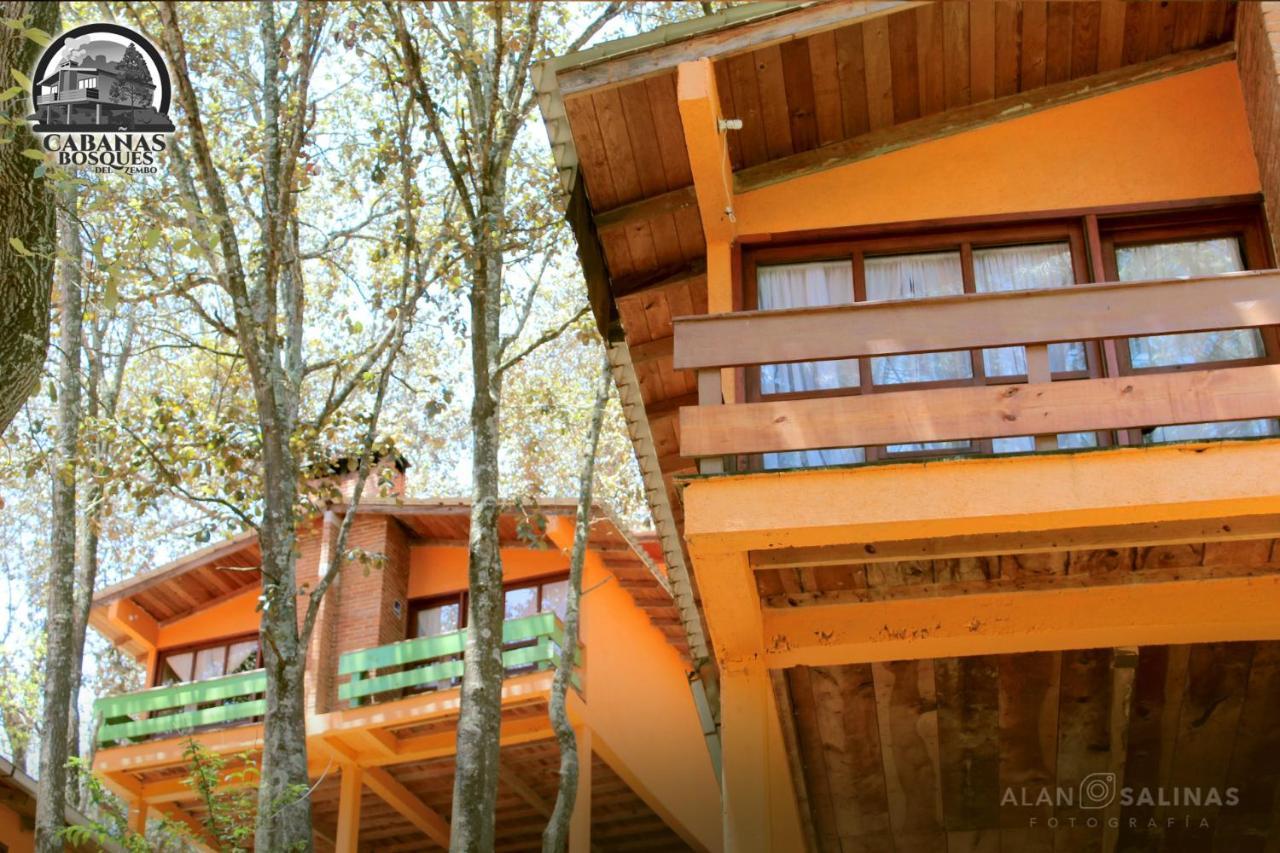 Cabanas Los Bosques Del Zembo Huasca de Ocampo Exterior foto
