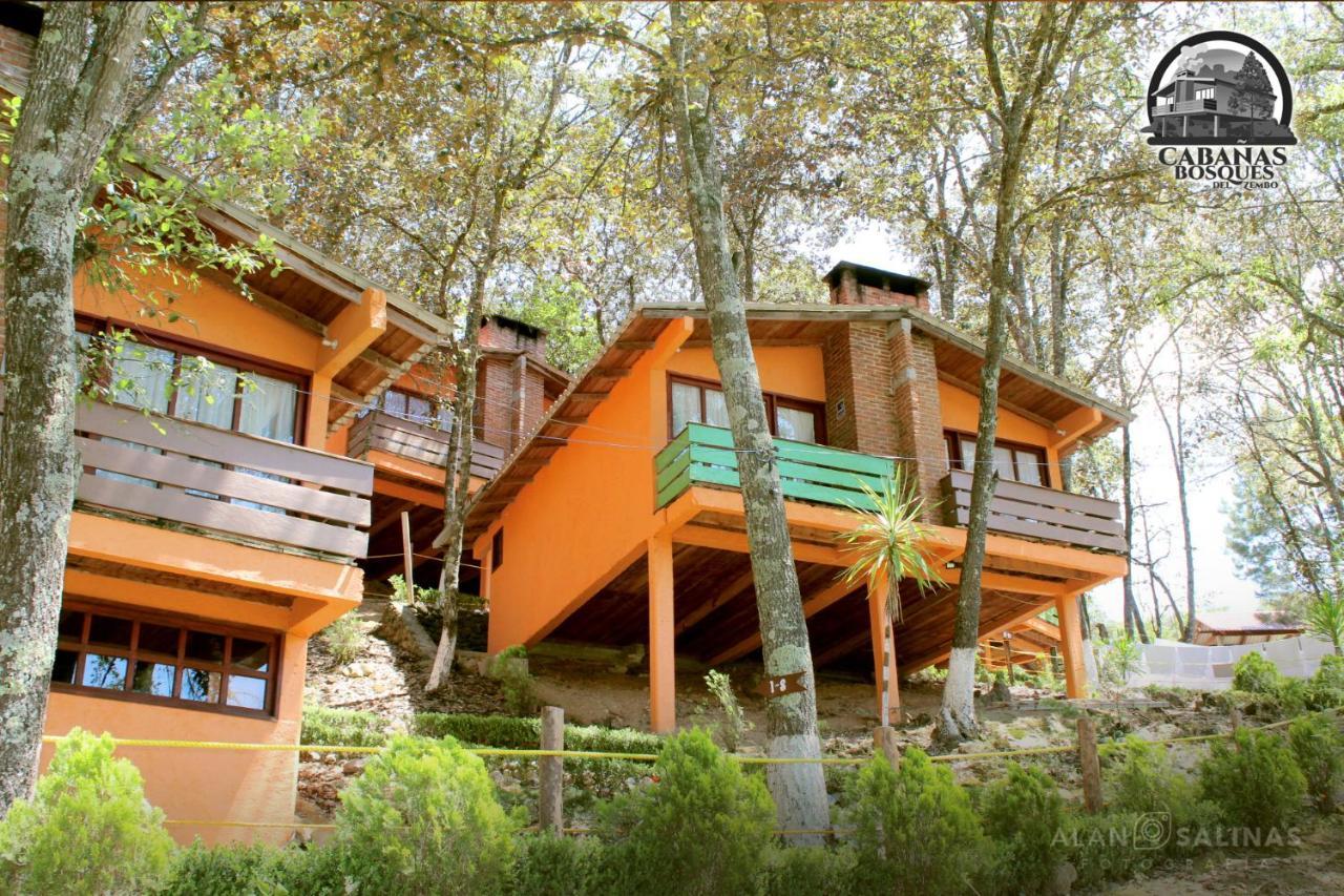 Cabanas Los Bosques Del Zembo Huasca de Ocampo Exterior foto