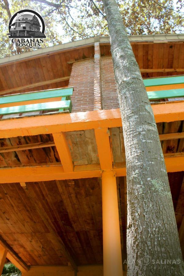 Cabanas Los Bosques Del Zembo Huasca de Ocampo Exterior foto