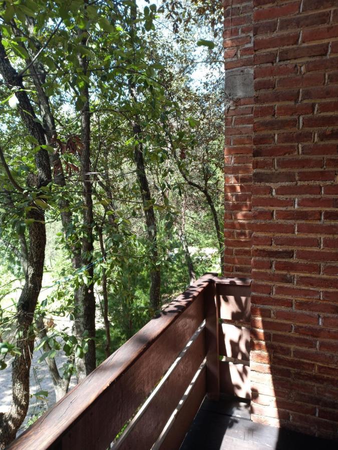 Cabanas Los Bosques Del Zembo Huasca de Ocampo Exterior foto